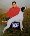 Pedigree MAITO' DI GROPPO Pedigree MAITO' DI GROPPO